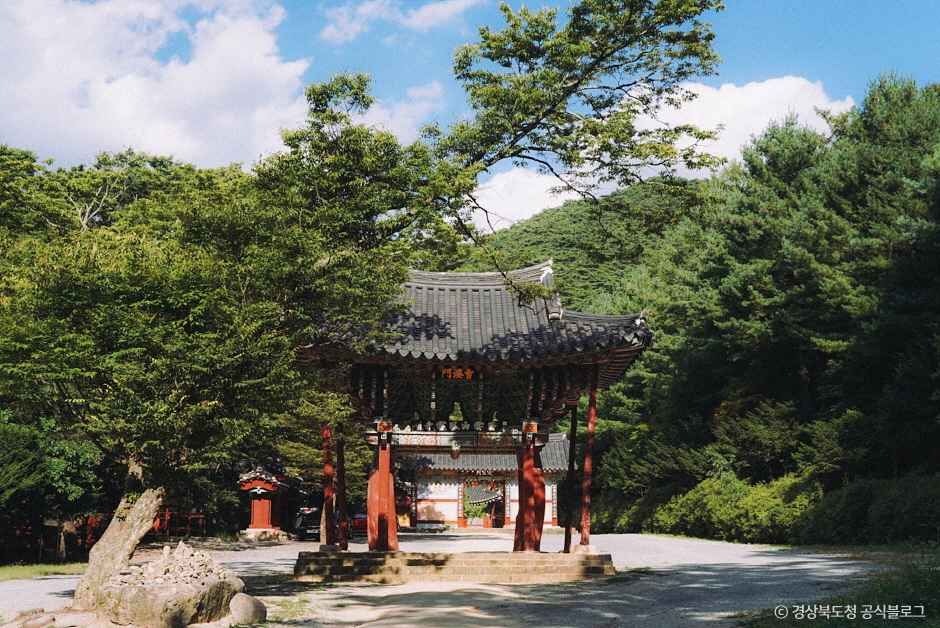 고운사(의성) 여행 추천 - 메고지고 고운사(의성) 여행 추천 - 메고지고