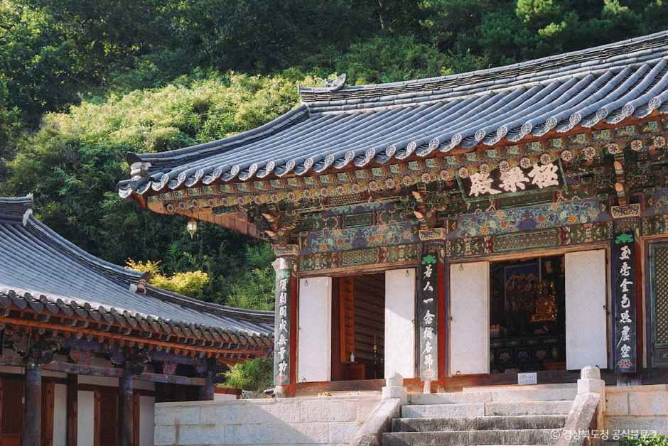 고운사(의성) 여행 추천 - 메고지고 고운사(의성) 여행 추천 - 메고지고