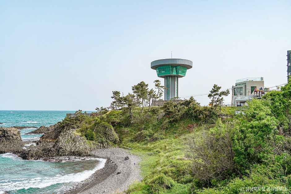 경주 양남 주상절리 전망대 여행 추천 - 메고지고 경주 양남 주상절리 전망대 여행 추천 - 메고지고