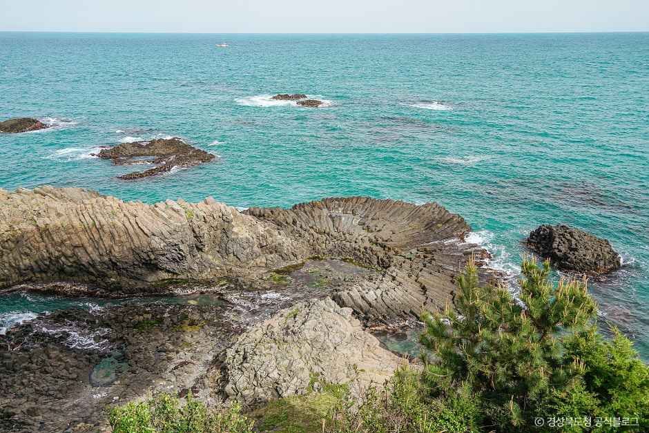 경주 양남 주상절리 전망대 여행 추천 - 메고지고 경주 양남 주상절리 전망대 여행 추천 - 메고지고