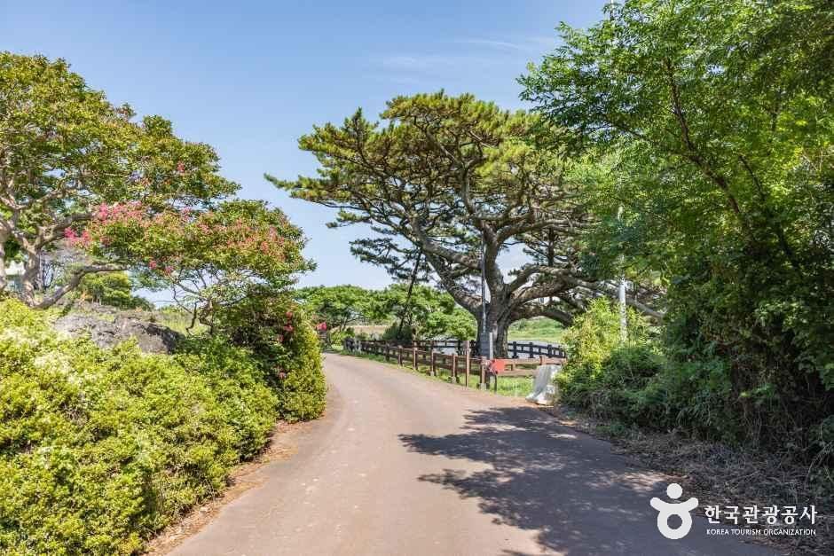 수산저수지 여행 추천 - 메고지고 수산저수지 여행 추천 - 메고지고