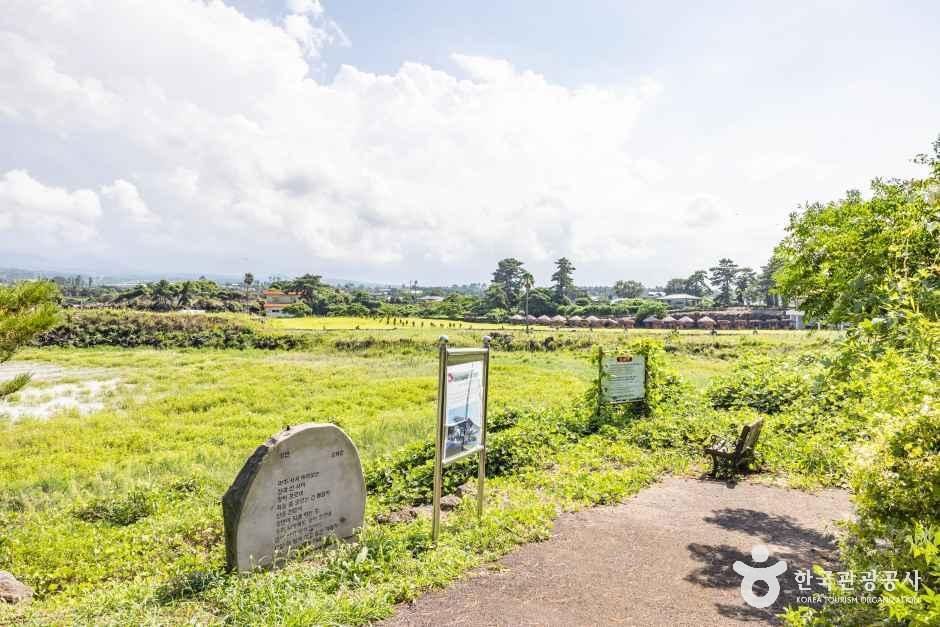 수산저수지 여행 추천 - 메고지고 수산저수지 여행 추천 - 메고지고
