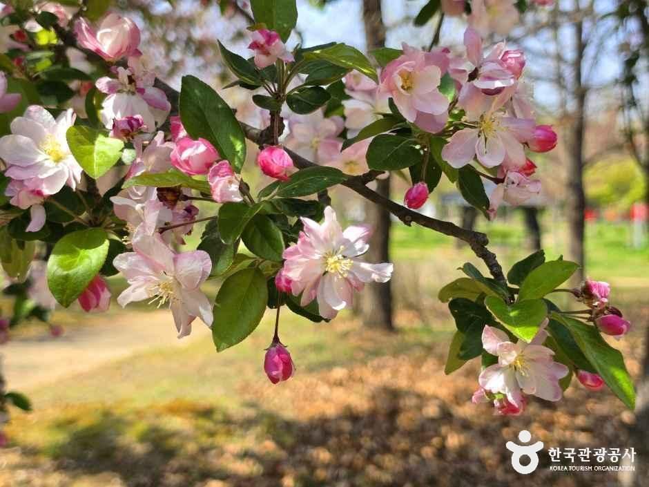 아산문화공원 여행 추천 - 메고지고 아산문화공원 여행 추천 - 메고지고