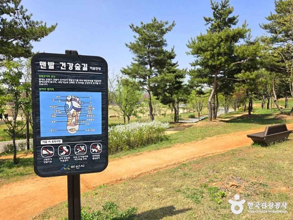 아산문화공원 여행 추천 - 메고지고 아산문화공원 여행 추천 - 메고지고