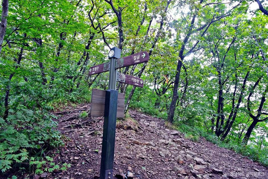 조령산 여행 추천 - 메고지고 조령산 여행 추천 - 메고지고
