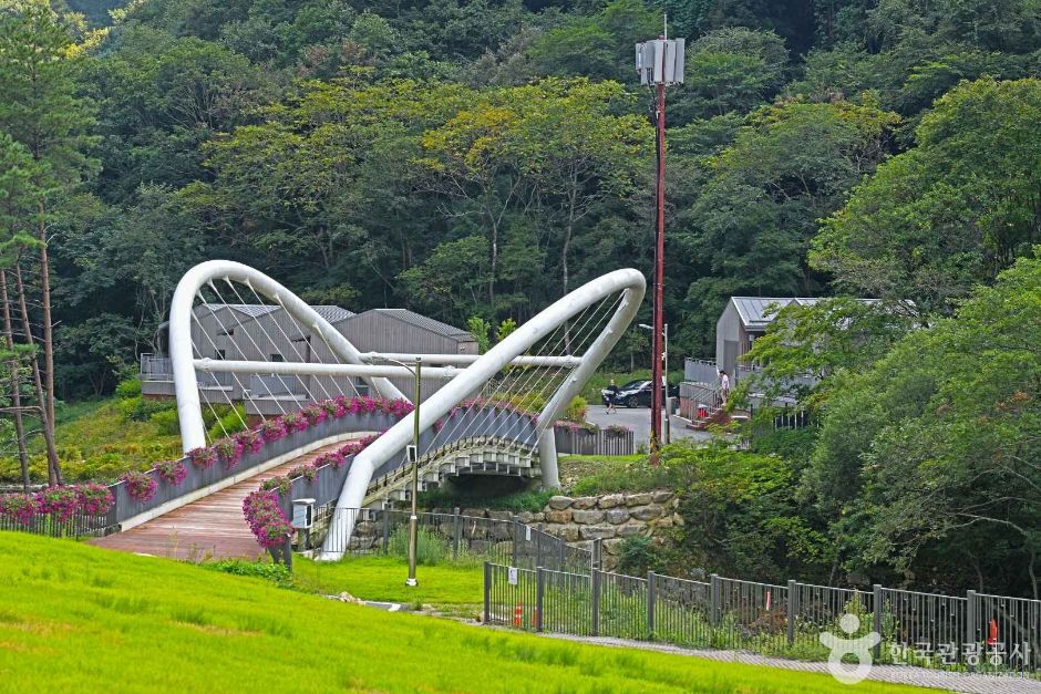 갯골자연휴양림 여행 추천 - 메고지고 갯골자연휴양림 여행 추천 - 메고지고