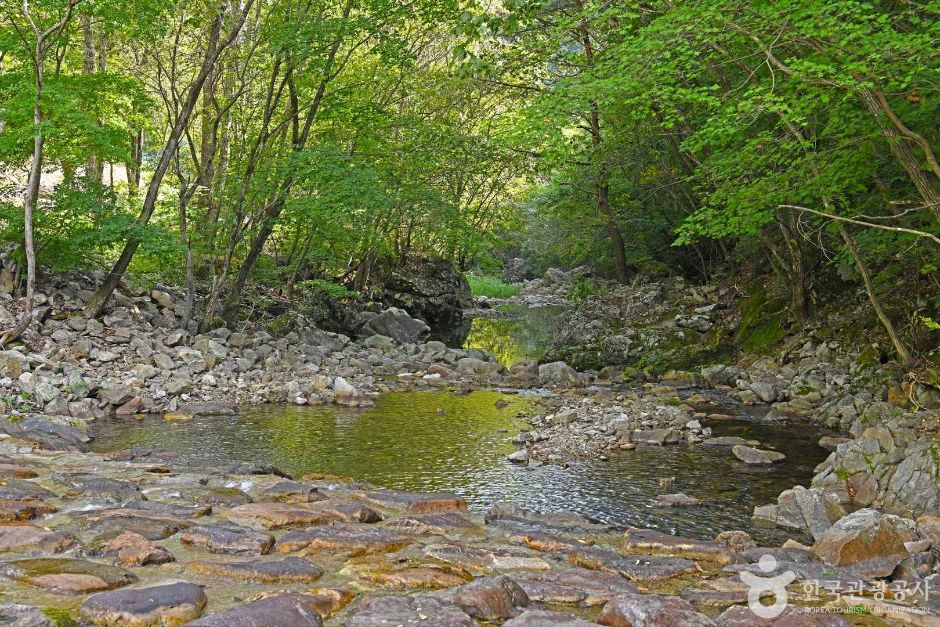 갯골자연휴양림 여행 추천 - 메고지고 갯골자연휴양림 여행 추천 - 메고지고