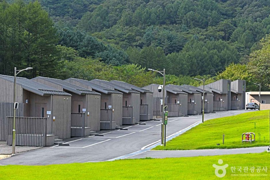갯골자연휴양림 여행 추천 - 메고지고 갯골자연휴양림 여행 추천 - 메고지고