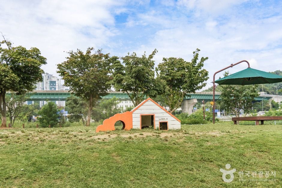 기흥레스피아호수공원 반려동물놀이터 여행 추천 - 메고지고