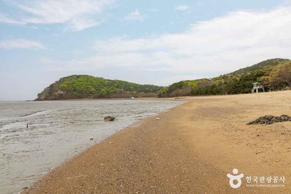 장봉도 한들해수욕장 여행 추천 - 메고지고 장봉도 한들해수욕장 여행 추천 - 메고지고