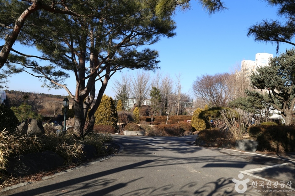 평택허브팜 여행 추천 - 메고지고 평택허브팜 여행 추천 - 메고지고