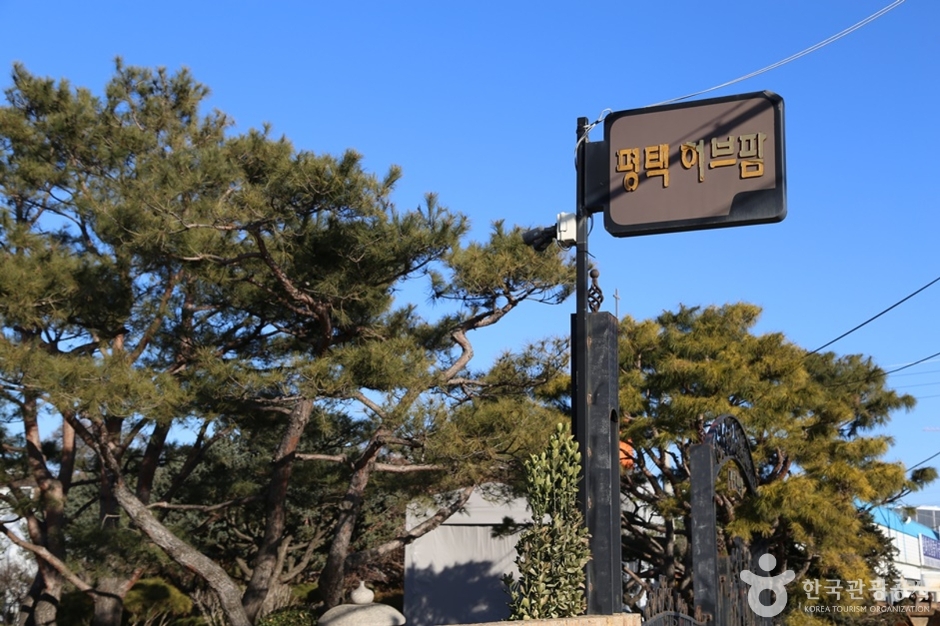평택허브팜 여행 추천 - 메고지고 평택허브팜 여행 추천 - 메고지고