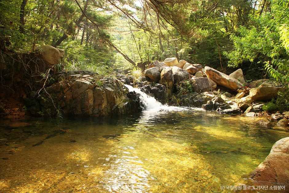 경주국립공원 여행 추천 - 메고지고 경주국립공원 여행 추천 - 메고지고