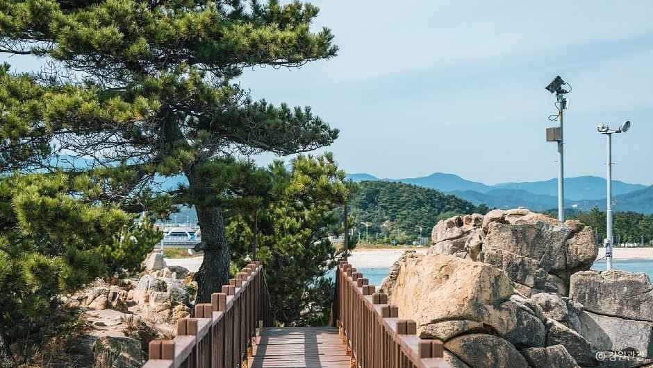 능파대 (강원평화지역 국가지질공원) 여행 추천 - 메고지고 능파대 (강원평화지역 국가지질공원) 여행 추천 - 메고지고