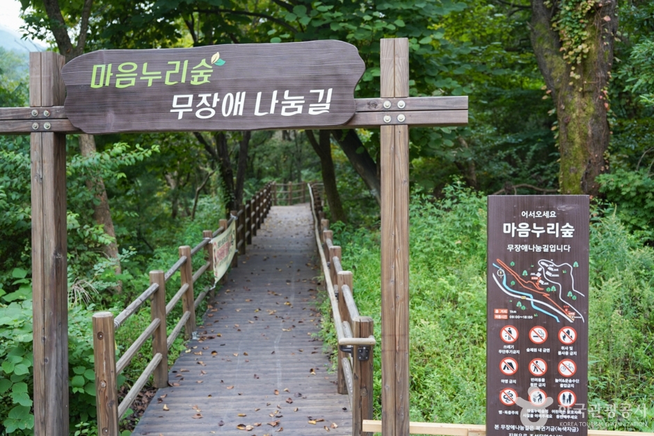 국립청도숲체원 여행 추천 - 메고지고 국립청도숲체원 여행 추천 - 메고지고