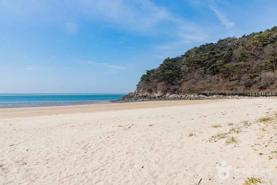 큰풀안해수욕장 여행 추천 - 메고지고 큰풀안해수욕장 여행 추천 - 메고지고