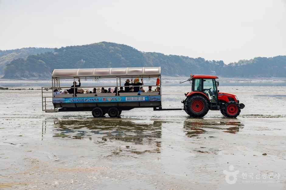 선재도(선재도 어촌체험마을) 여행 추천 - 메고지고 선재도(선재도 어촌체험마을) 여행 추천 - 메고지고