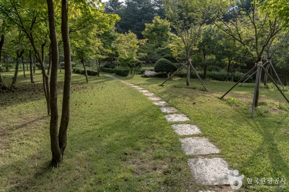 백풍밀원 여행 추천 - 메고지고