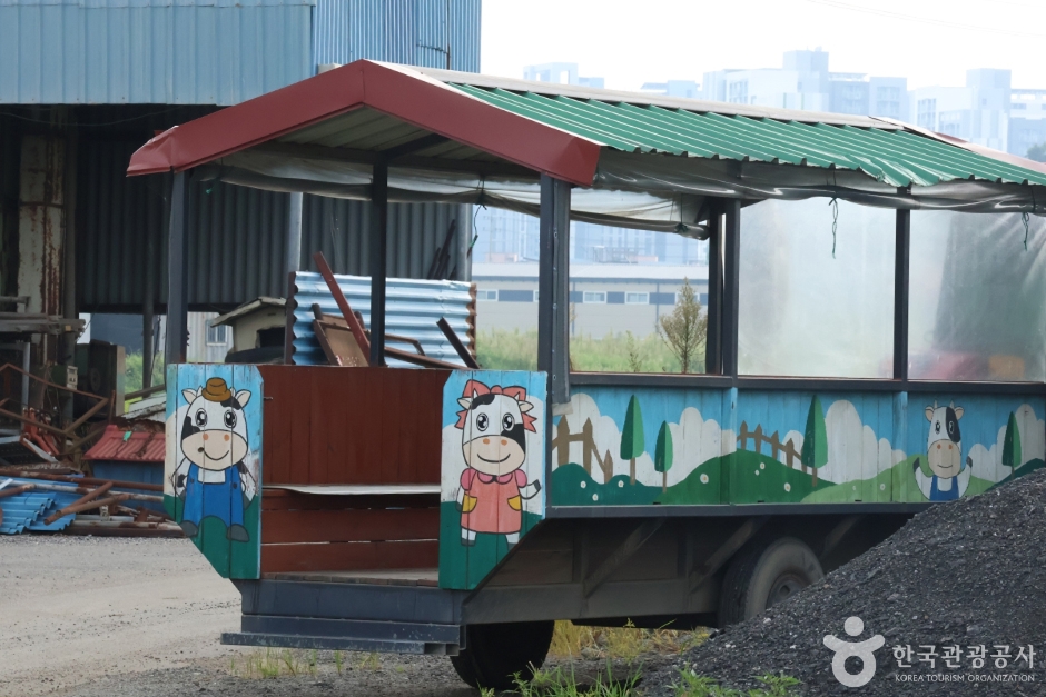 연보람목장 여행 추천 - 메고지고 연보람목장 여행 추천 - 메고지고