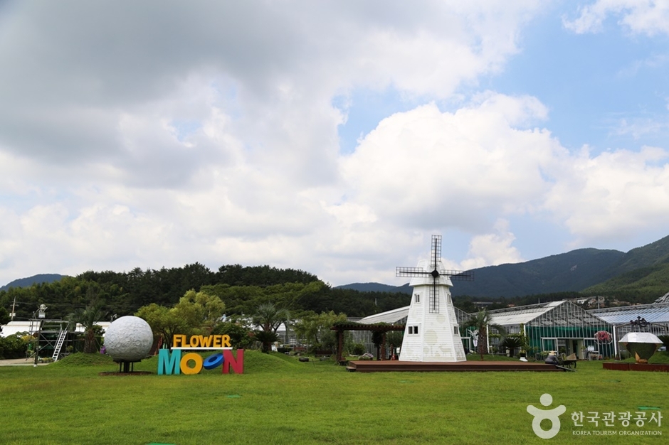 거제곤충생태박물관 여행 추천 - 메고지고 거제곤충생태박물관 여행 추천 - 메고지고