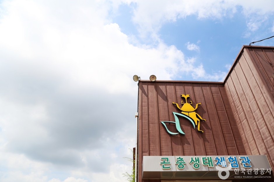 거제곤충생태박물관 여행 추천 - 메고지고 거제곤충생태박물관 여행 추천 - 메고지고