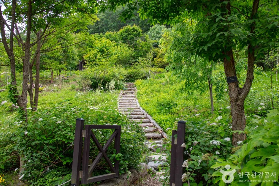 제이드가든 여행 추천 - 메고지고 제이드가든 여행 추천 - 메고지고
