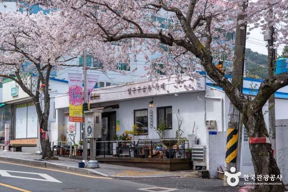 봉숫골 벚꽃길 여행 추천 - 메고지고