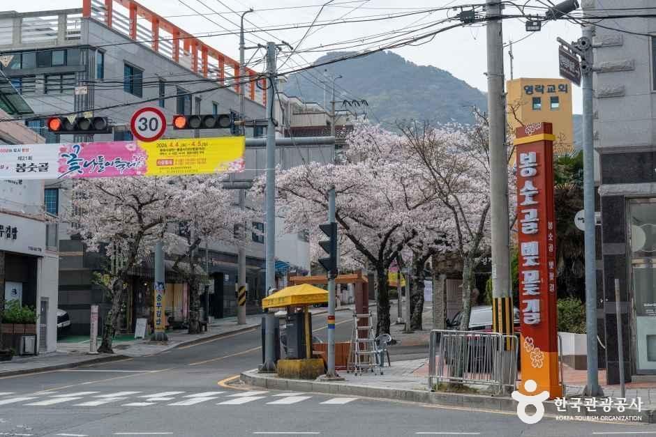 봉숫골 벚꽃길 여행 추천 - 메고지고