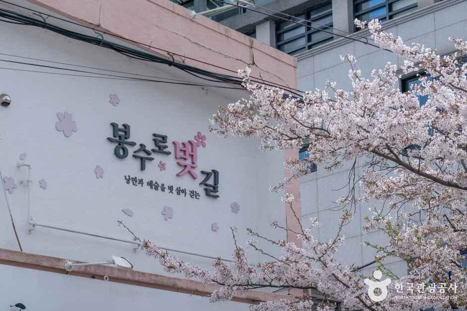 봉숫골 벚꽃길 여행 추천 - 메고지고