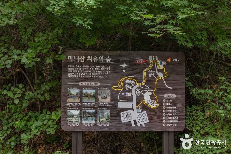 마니산 치유의 숲 여행 추천 - 메고지고