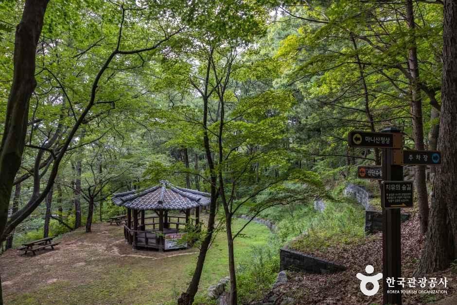마니산 치유의 숲 여행 추천 - 메고지고