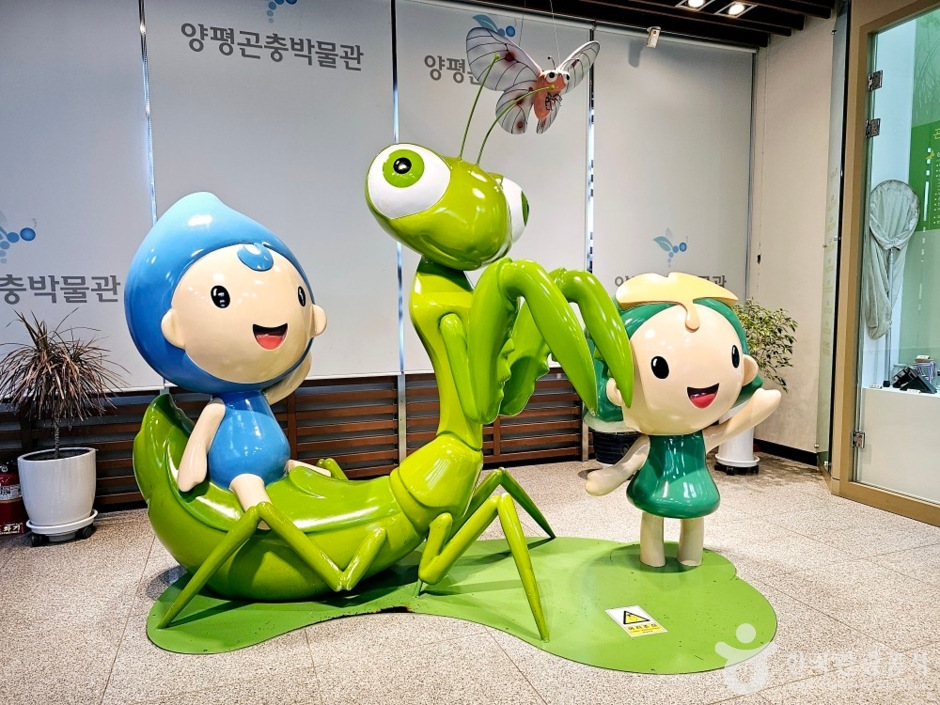 양평곤충박물관 여행 추천 - 메고지고 양평곤충박물관 여행 추천 - 메고지고