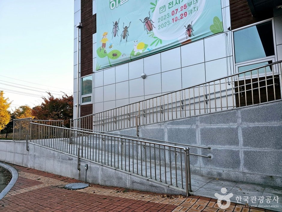 양평곤충박물관 여행 추천 - 메고지고 양평곤충박물관 여행 추천 - 메고지고