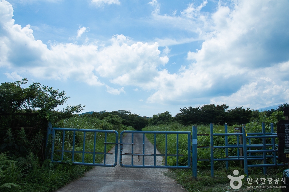 수망리 마흐니숲길 여행 추천 - 메고지고 수망리 마흐니숲길 여행 추천 - 메고지고