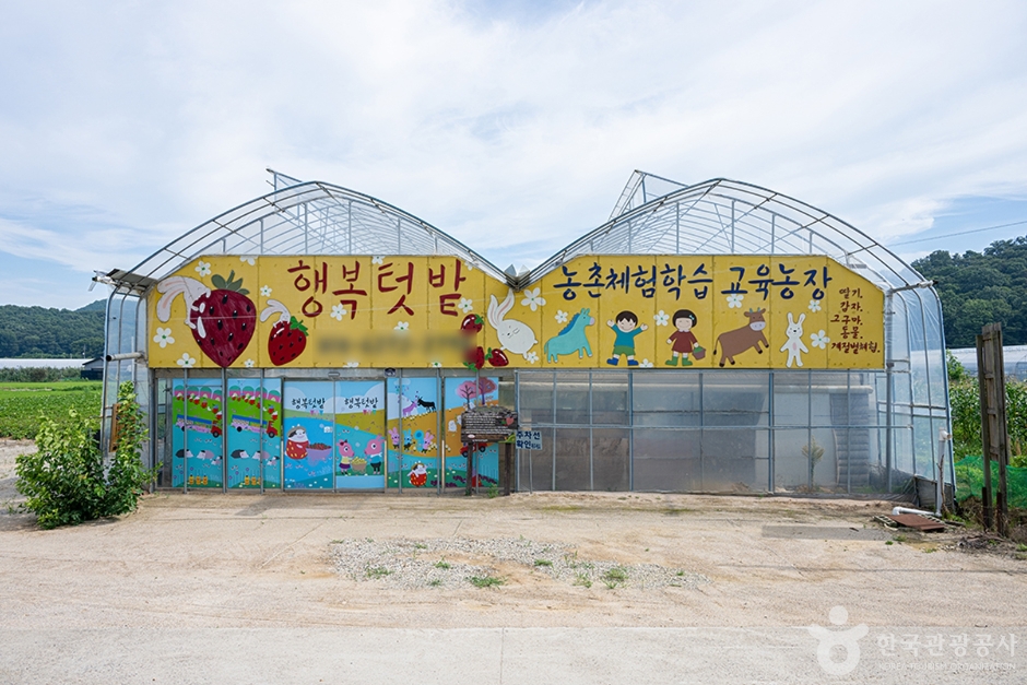 행복텃밭 여행 추천 - 메고지고 행복텃밭 여행 추천 - 메고지고