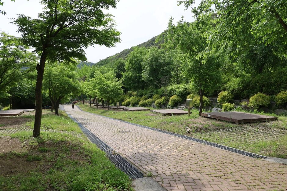 팔공산국립공원 도학야영장 여행 추천 - 메고지고 팔공산국립공원 도학야영장 여행 추천 - 메고지고