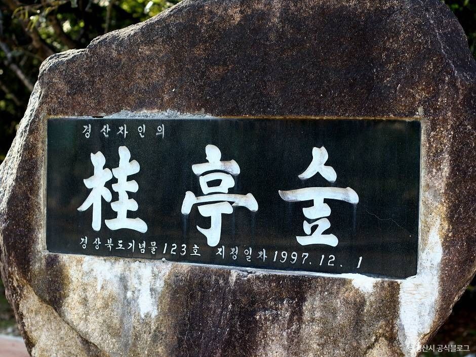 자인계정숲(경산 자인의계정숲) 여행 추천 - 메고지고
