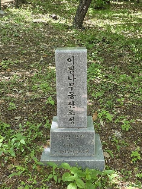 자인계정숲(경산 자인의계정숲) 여행 추천 - 메고지고