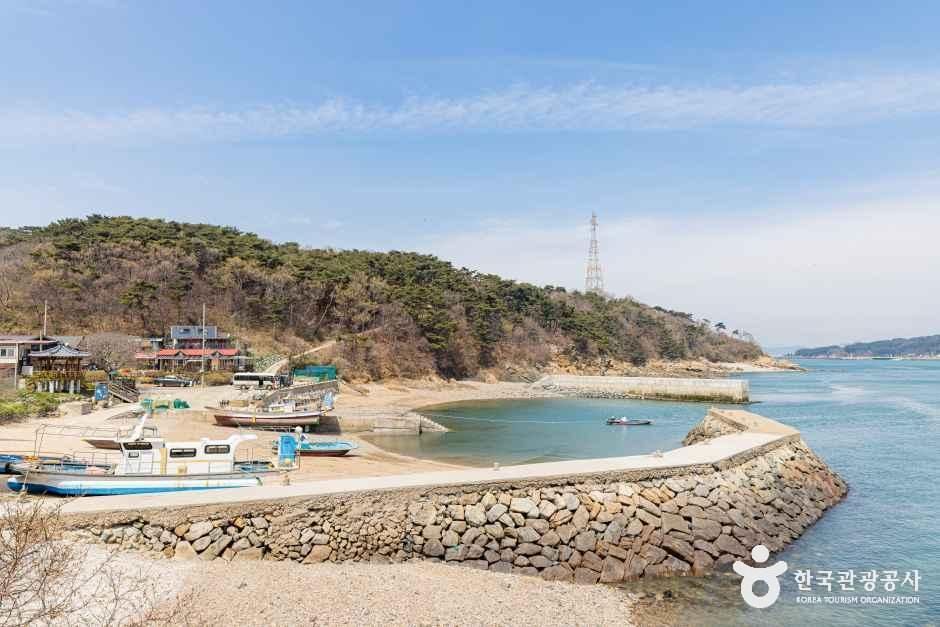 섬마을선생촬영지 여행 추천 - 메고지고 섬마을선생촬영지 여행 추천 - 메고지고
