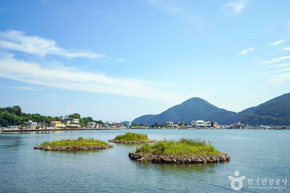 다대어촌체험 휴양마을 여행 추천 - 메고지고 다대어촌체험 휴양마을 여행 추천 - 메고지고