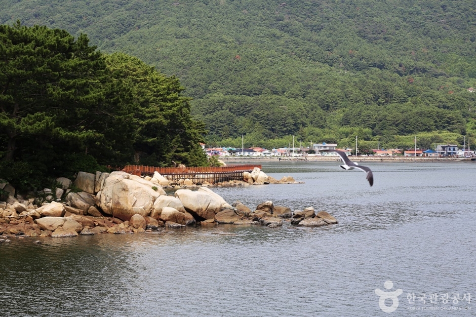 후릿개다리 여행 추천 - 메고지고 후릿개다리 여행 추천 - 메고지고