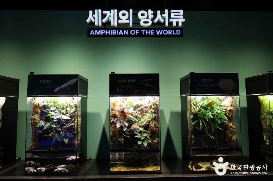 충주아쿠아리움 여행 추천 - 메고지고 충주아쿠아리움 여행 추천 - 메고지고