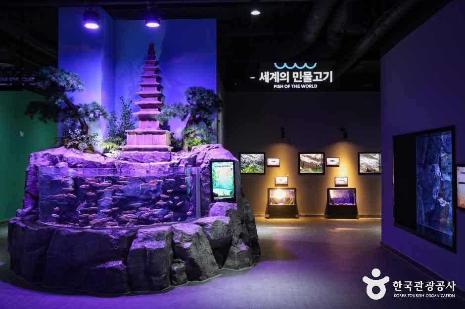 충주아쿠아리움 여행 추천 - 메고지고 충주아쿠아리움 여행 추천 - 메고지고