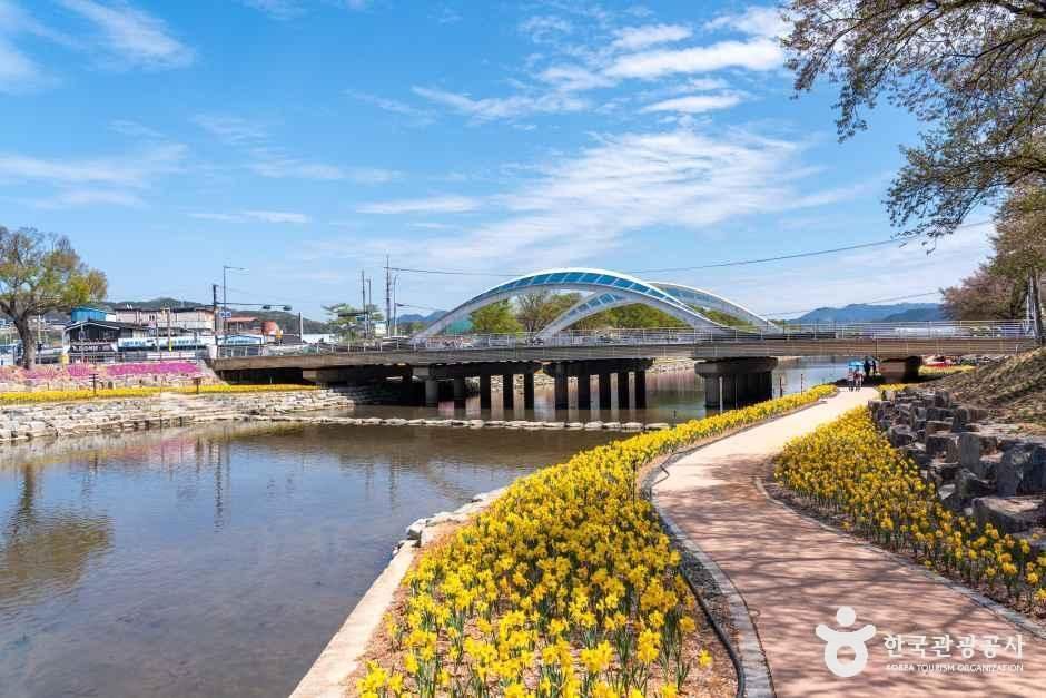 순창 양지천 꽃잔디길 여행 추천 - 메고지고 순창 양지천 꽃잔디길 여행 추천 - 메고지고