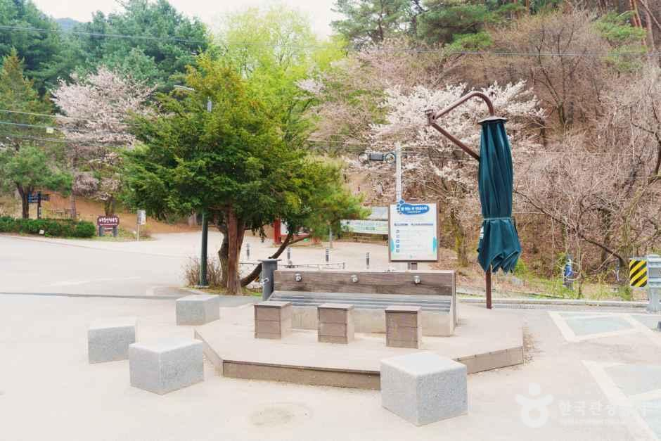 [원주 소풍길] 1코스 운곡솔바람숲길 여행 추천 - 메고지고