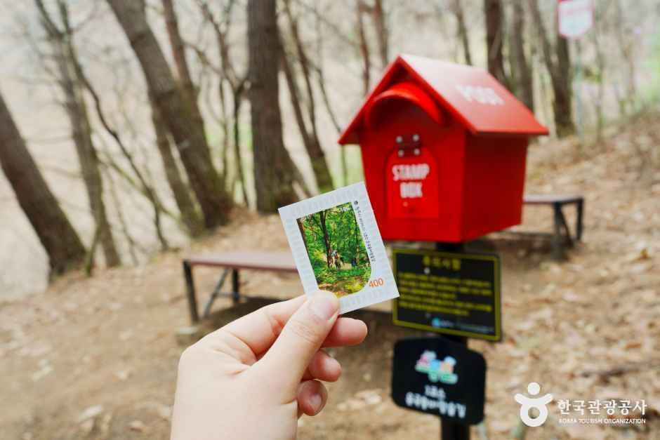 [원주 소풍길] 1코스 운곡솔바람숲길 여행 추천 - 메고지고