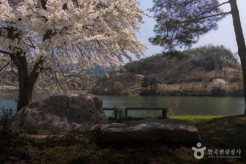 손항마을 여행 추천 - 메고지고 손항마을 여행 추천 - 메고지고