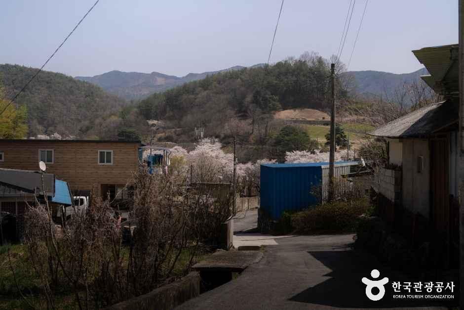 손항마을 여행 추천 - 메고지고 손항마을 여행 추천 - 메고지고