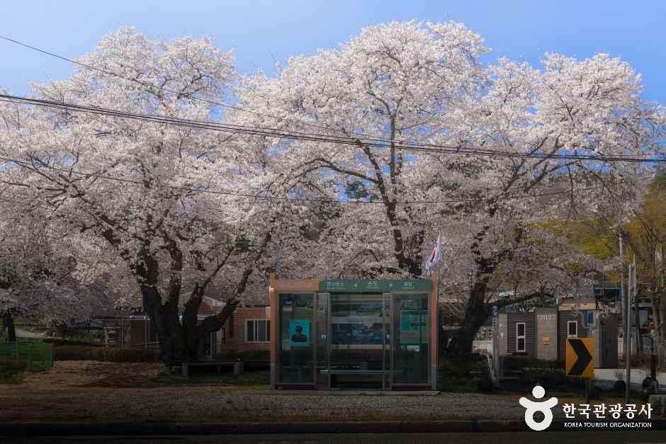 손항마을 여행 추천 - 메고지고 손항마을 여행 추천 - 메고지고