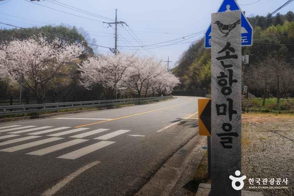 손항마을 여행 추천 - 메고지고 손항마을 여행 추천 - 메고지고